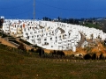 Projet Bassatine El Menzeh Vallée 2 & 3 - Lot : Electricité - Lustrerie - Eclairage résidentiel